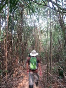 a man walking in a forest