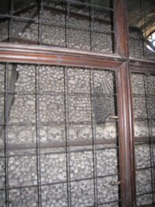 a large pile of bones in a room