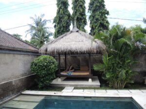 a hut with grass roof and a pool