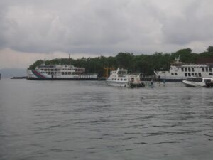boats in the water with boats