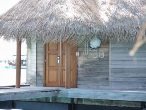a hut with a straw roof
