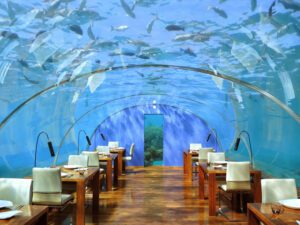 a restaurant under the water