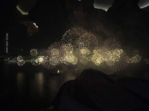 fireworks in the sky