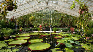 Kew