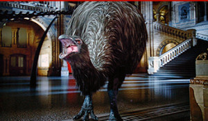 Natural History