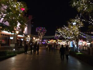 IMG_0210