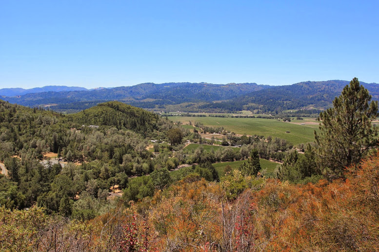 a landscape with trees and mountains