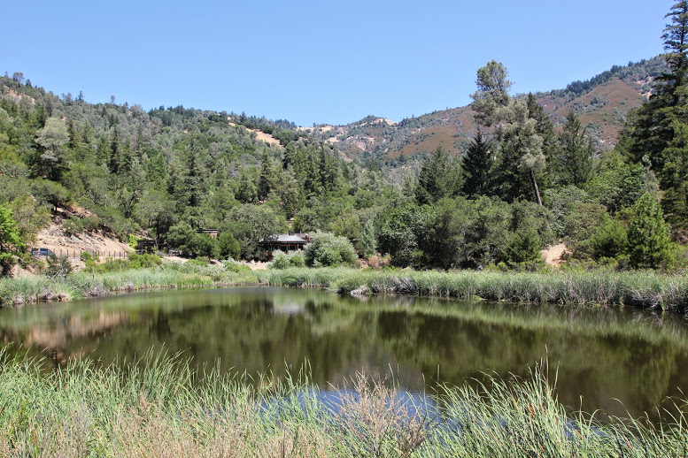 a pond surrounded by trees and mountains