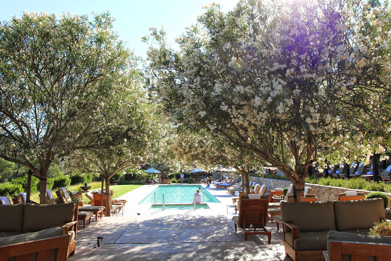 a pool with chairs and trees