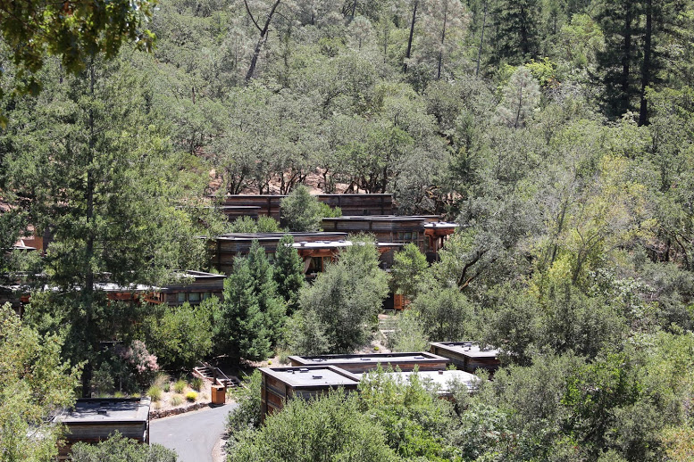 a group of buildings surrounded by trees