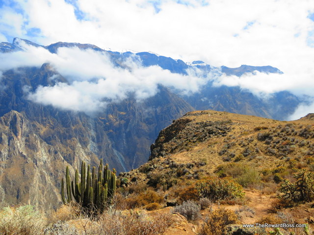 Colca Valley