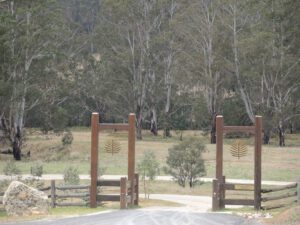 a gate to a forest