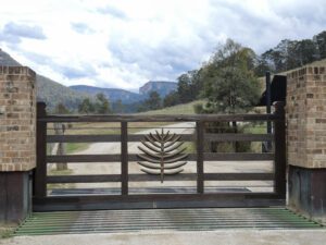 a gate with a metal design on it
