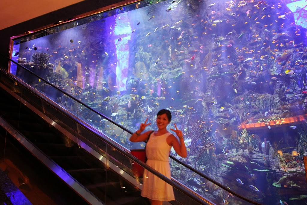 burj al arab 7 star hotel reviews