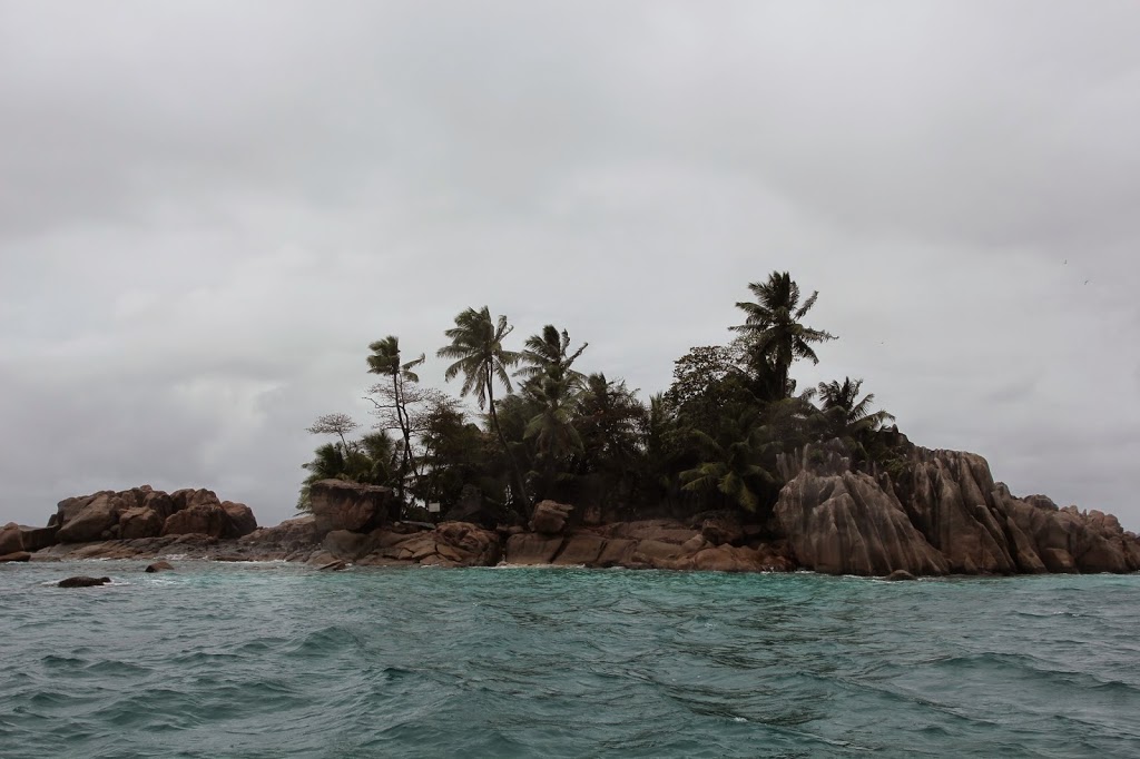 a small island with trees and rocks in the water