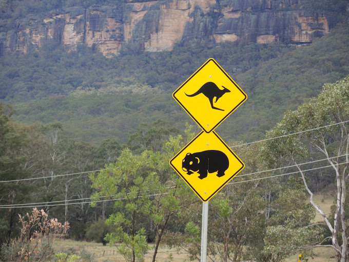 a yellow sign with kangaroo and kangaroo on it