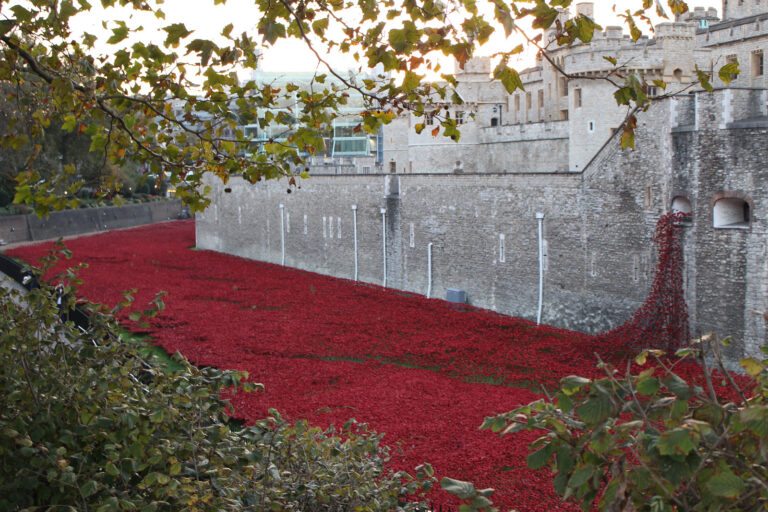 a wall with red flowers