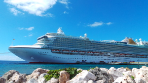 a cruise ship in the water