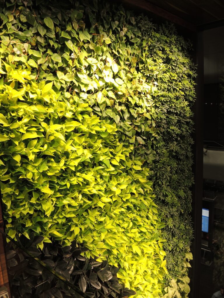 american express centurion lounge sfo