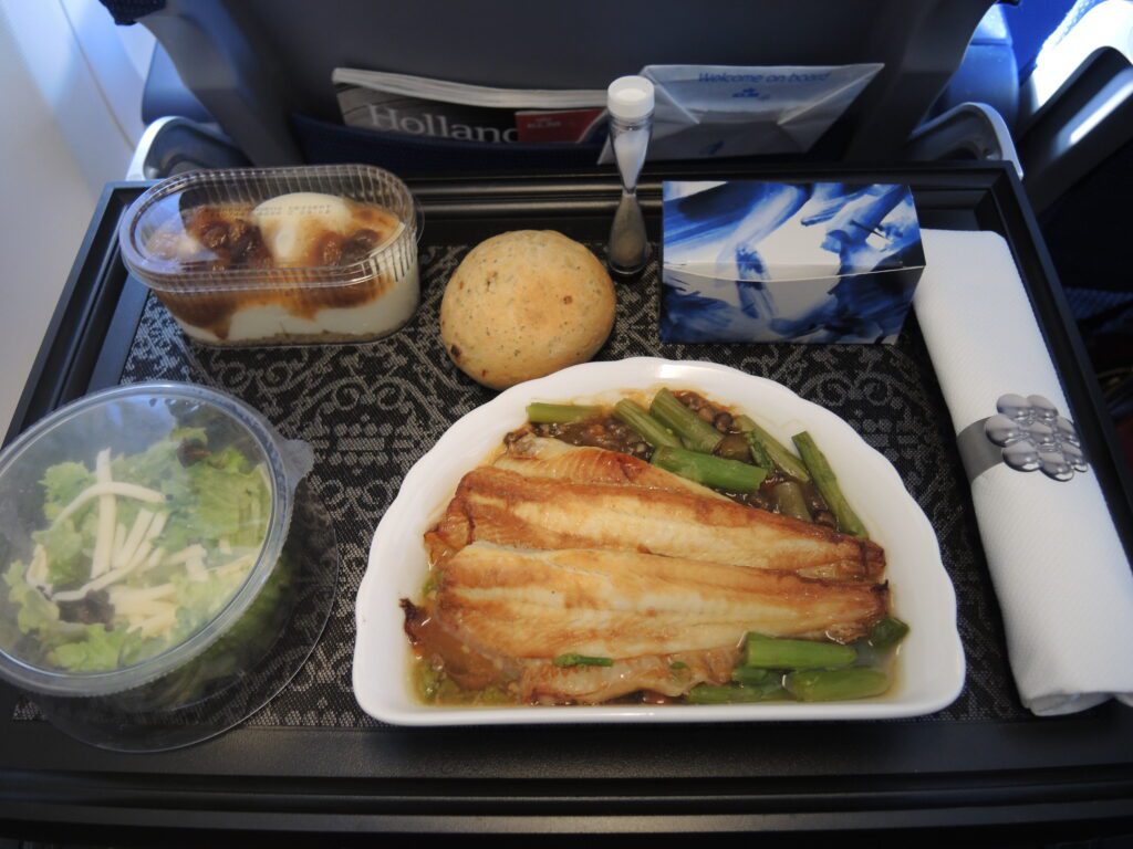 klm business class reviews