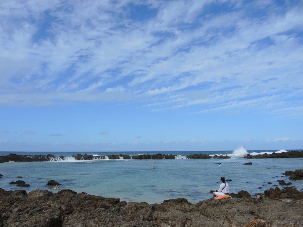 north shore shark's cove