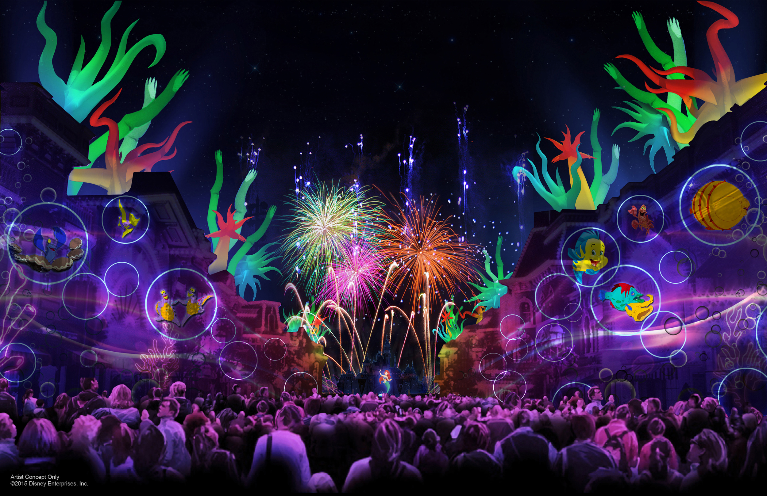 a crowd of people watching fireworks