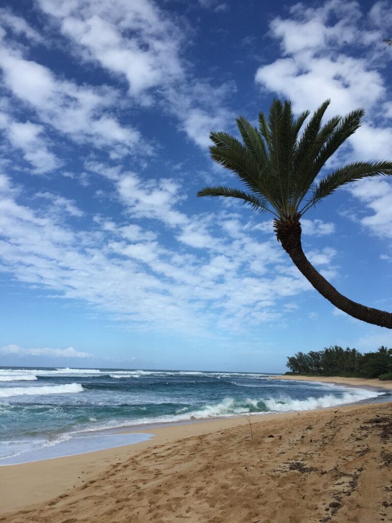 north shore 1