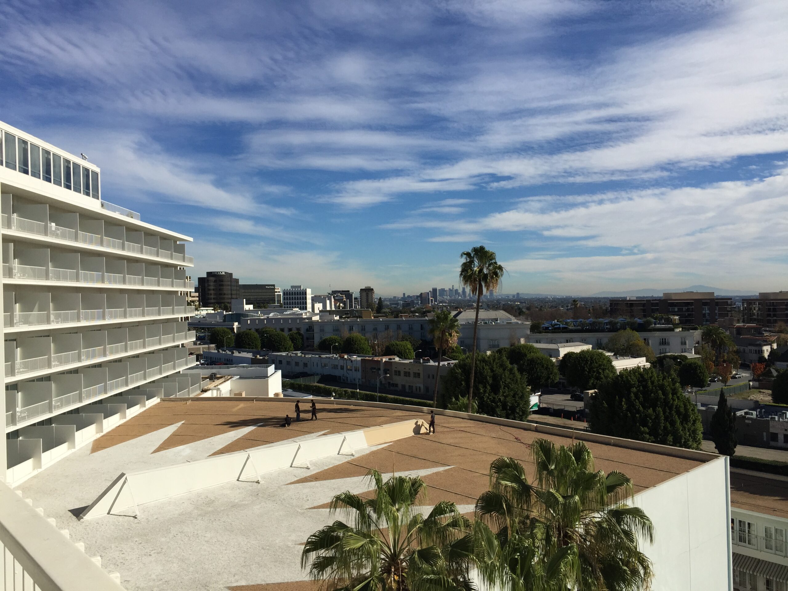 a rooftop of a building with palm trees and a city in the background