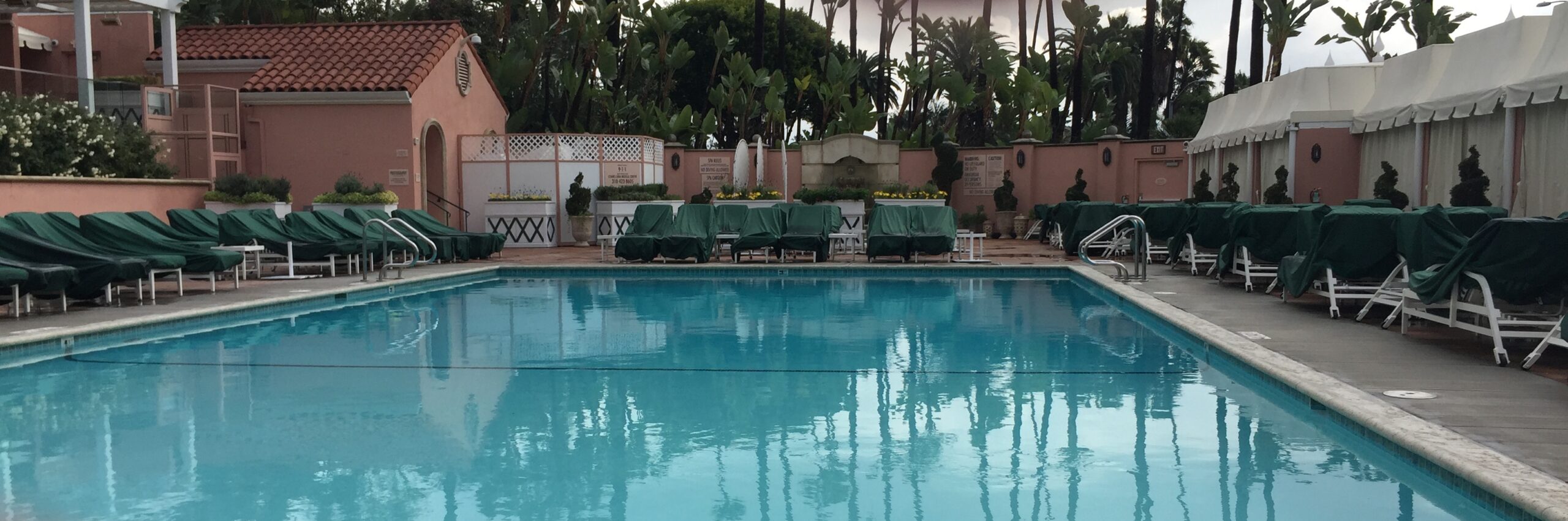 a pool with chairs and a wall with palm trees