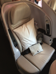 a white pillow on a chair