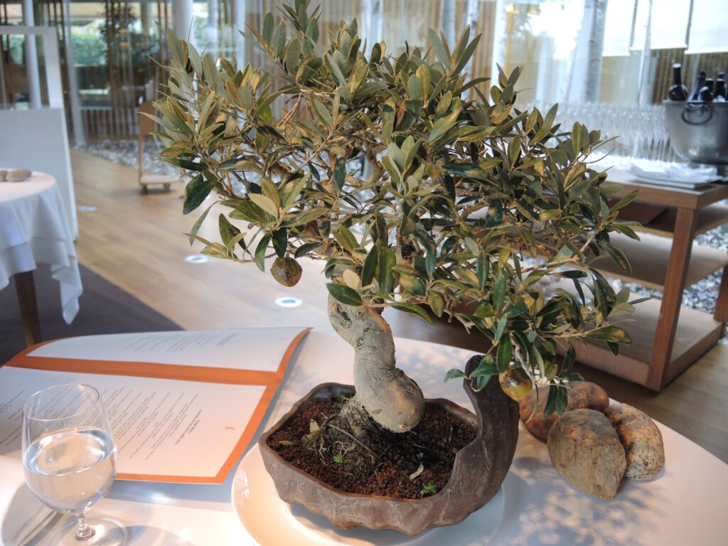 el celler de can roca reviews