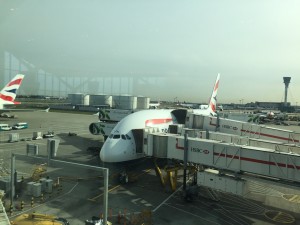 IMG_0608