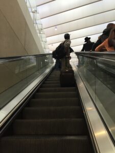 IMG_0029
