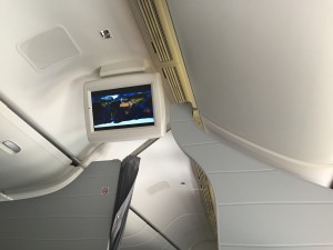 Overhead monitor