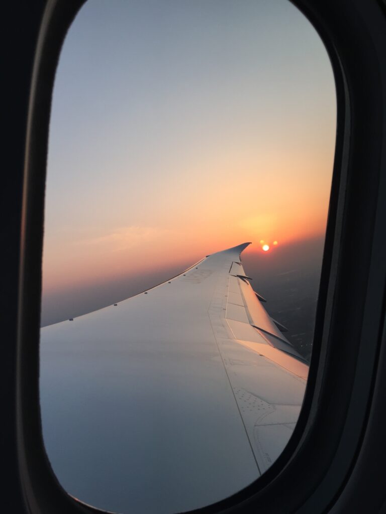 ana 787 business class view