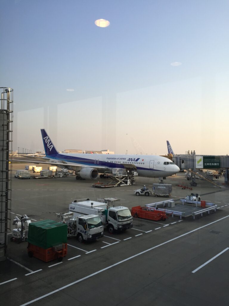 ana 787 dreamliner 2