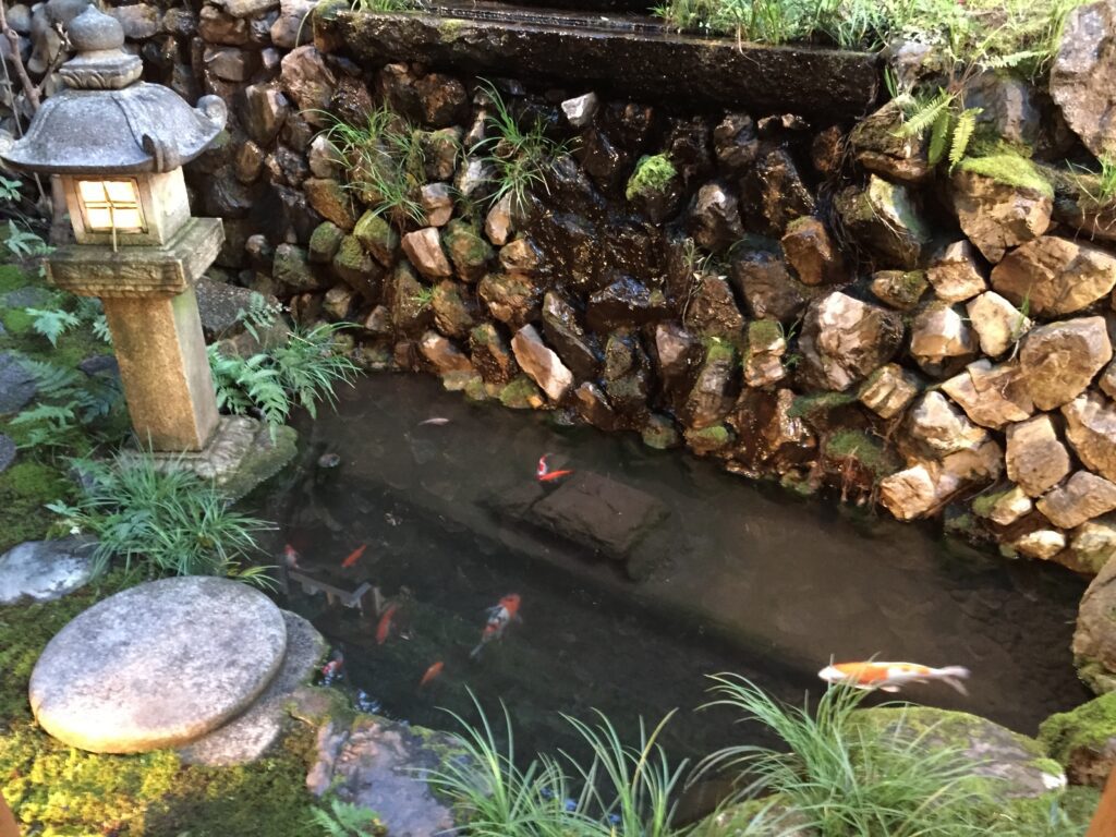 kikunoi honten kyoto kaiseki pond