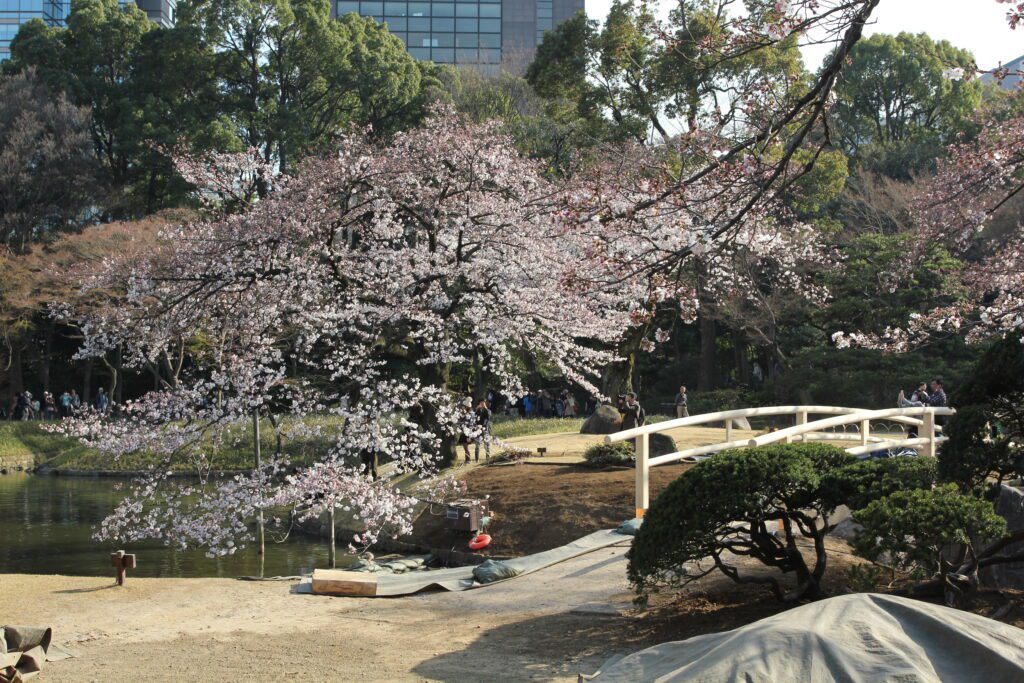 koishikawa korakuen tokyo 3