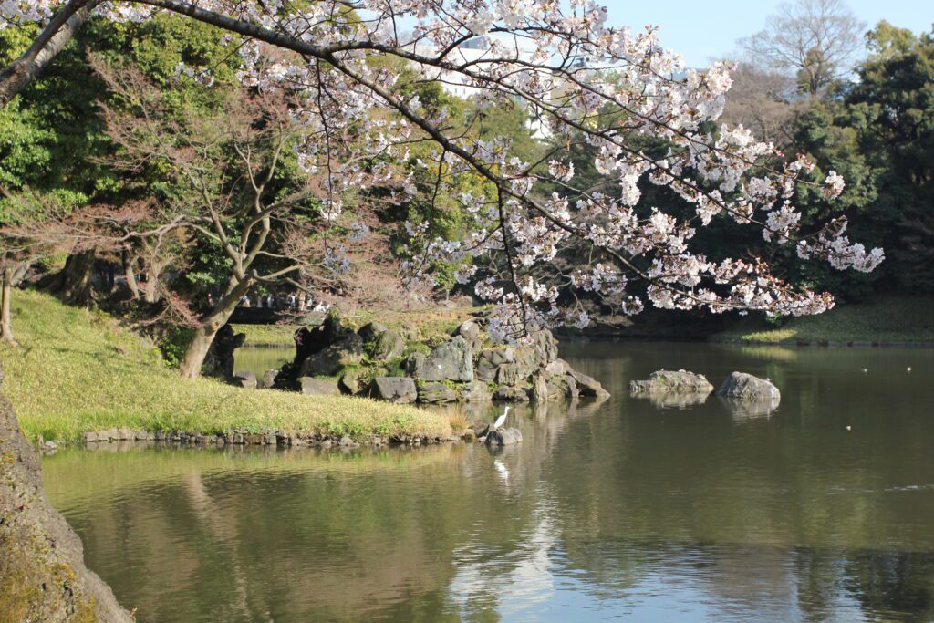 koishikawa korakuen tokyo 4