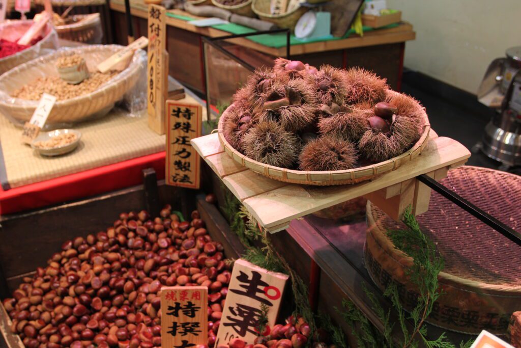 kyoto nishiki market 4