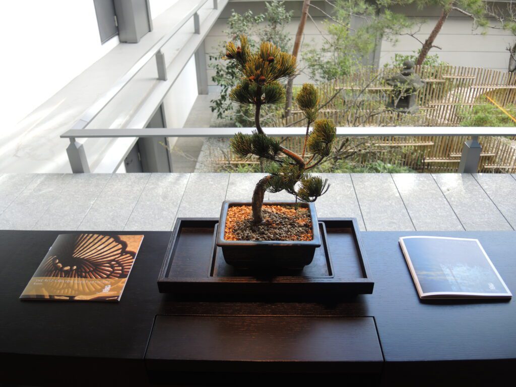 ritz carlton kyoto room view