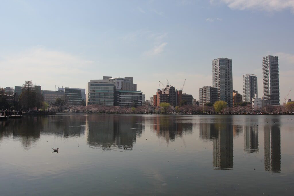 tokyo lake views