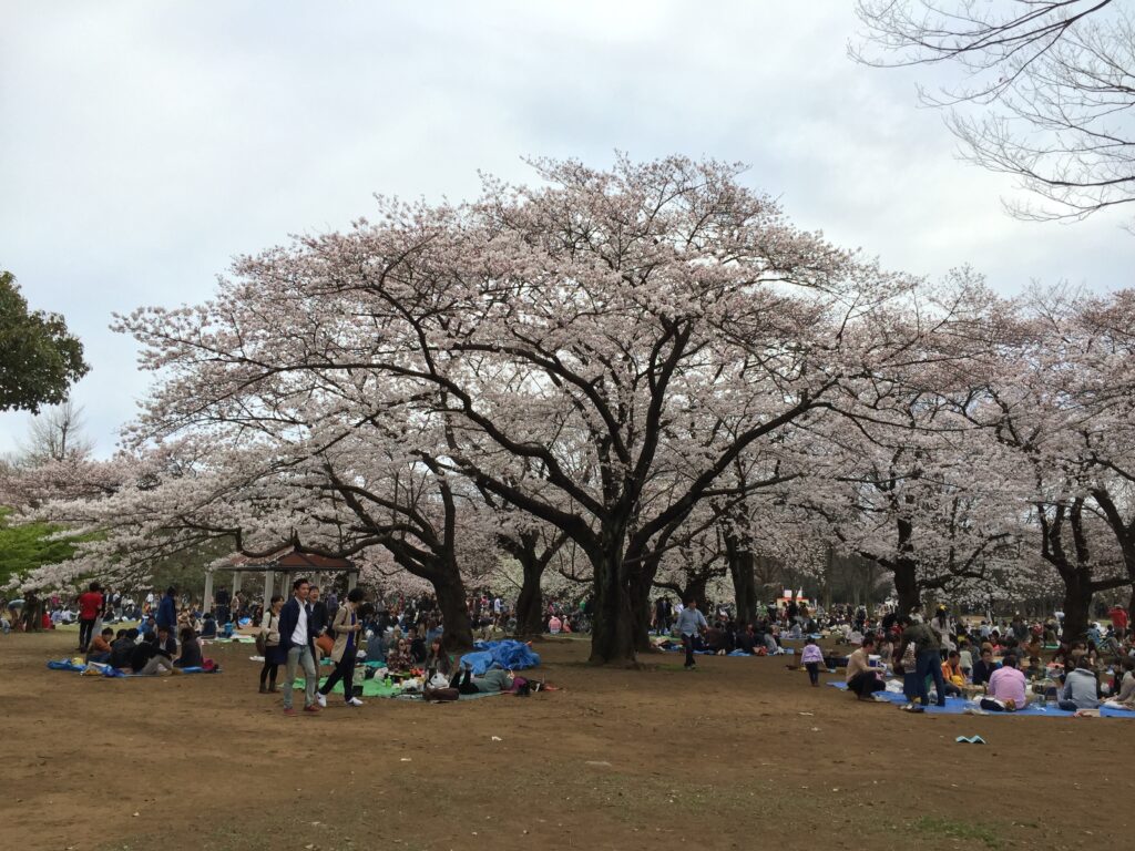 tokyo yoyogi park 2