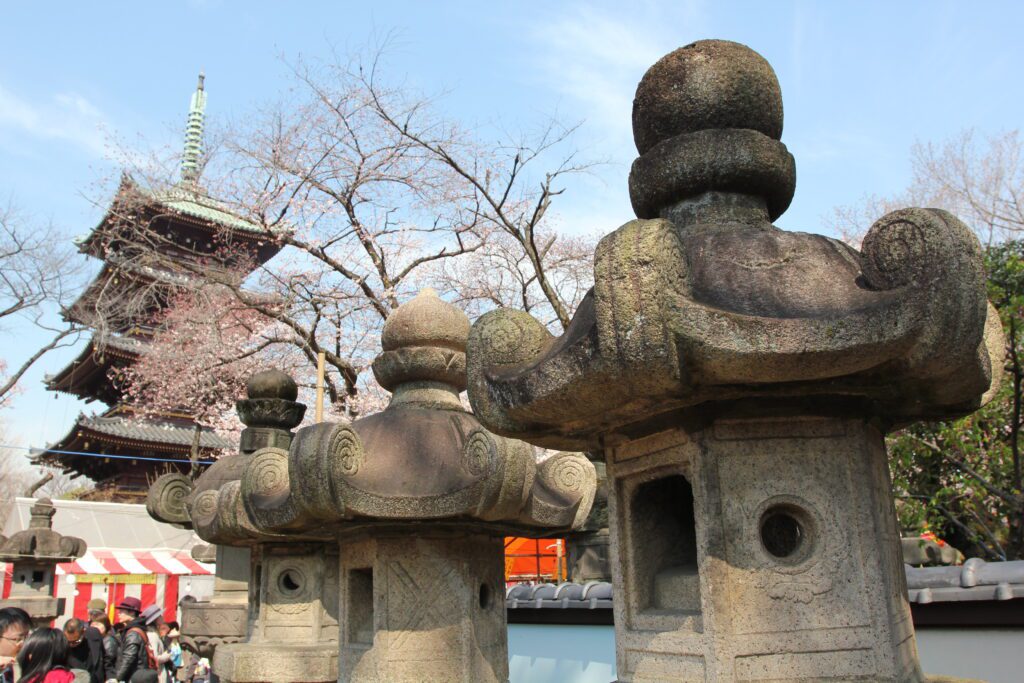 ueno park cherry blossoms 4