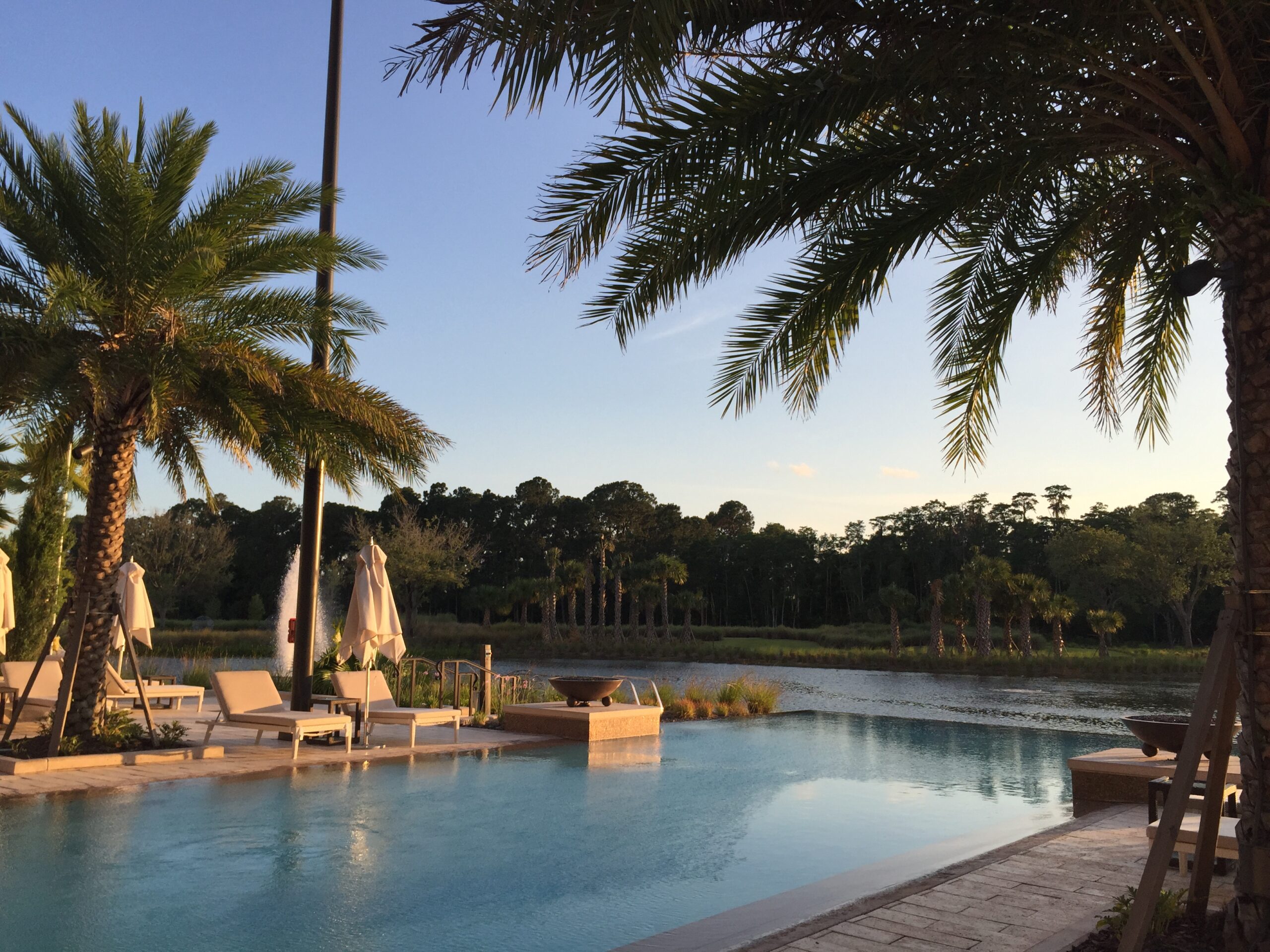 a pool with palm trees and a pool