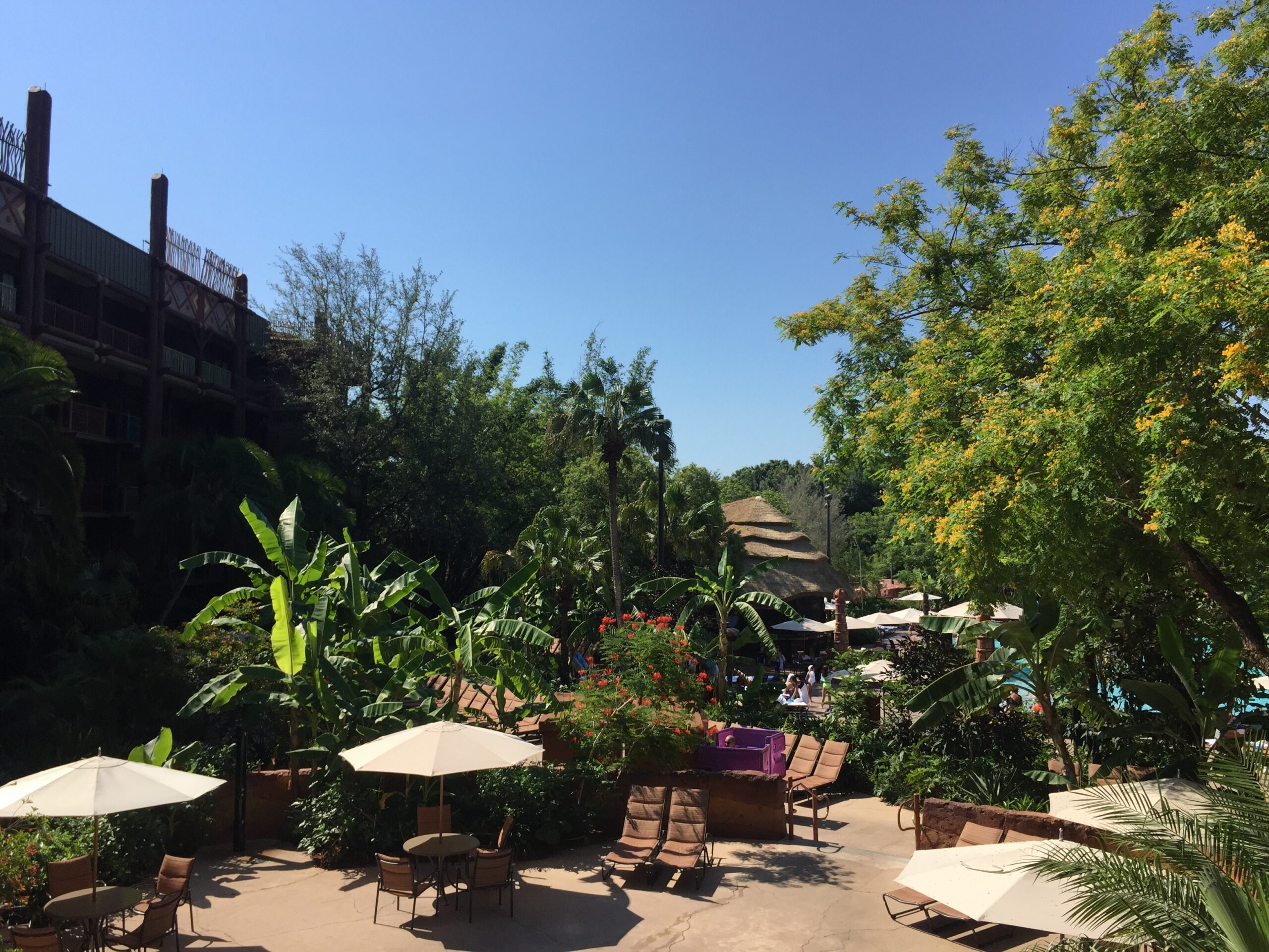a patio with chairs and umbrellas and trees