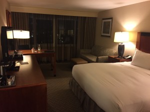 Hilton JFK