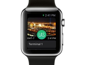 loungebuddy applewatch