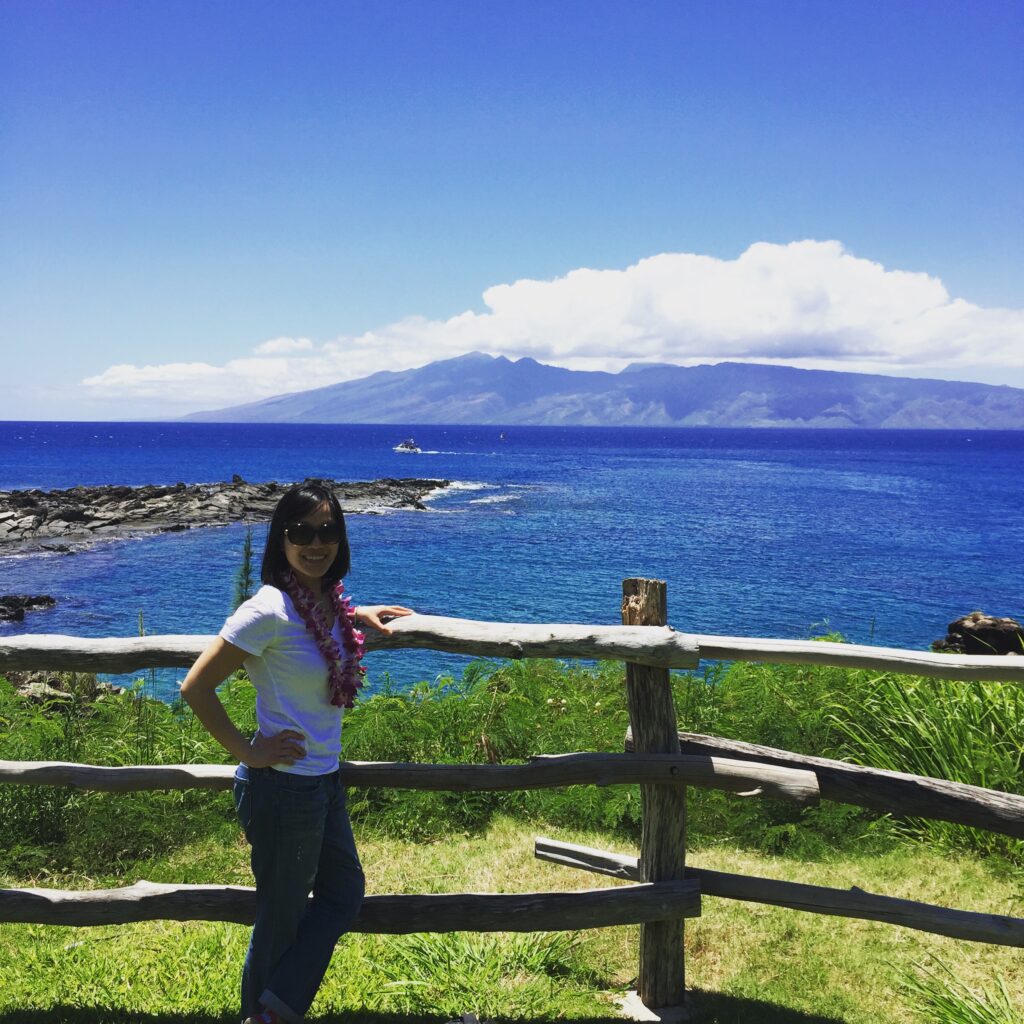 montage kapalua bay maui scenery
