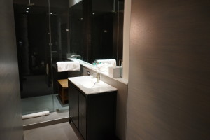 Hyatt Herald Square bathroom